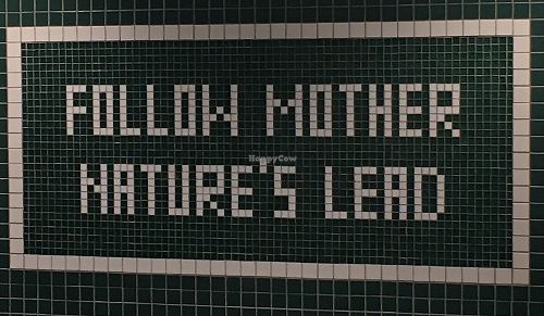 Wall art  at Sweetgreen - Lexington Ave in New York City