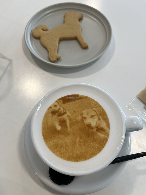   at Cafe Planet in Kyoto