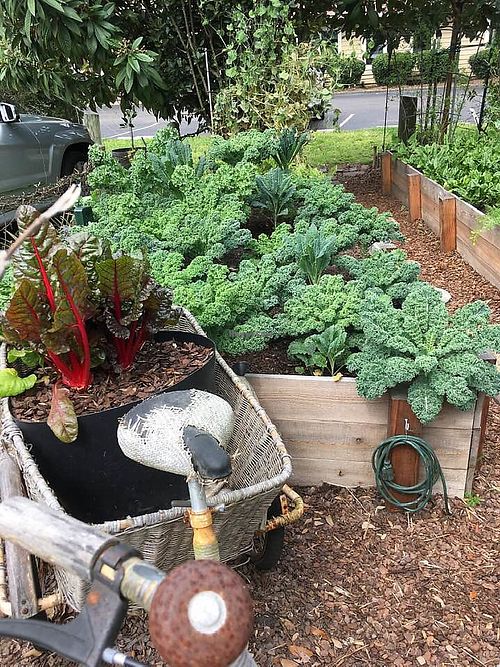 The beautiful outdoor garden at delisheeeYo in Hilton Head Island