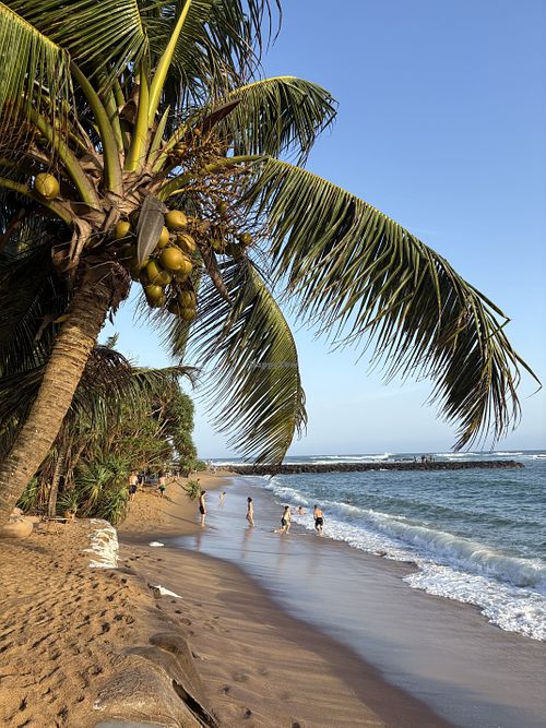 Beach  at The Slow in Mirissa