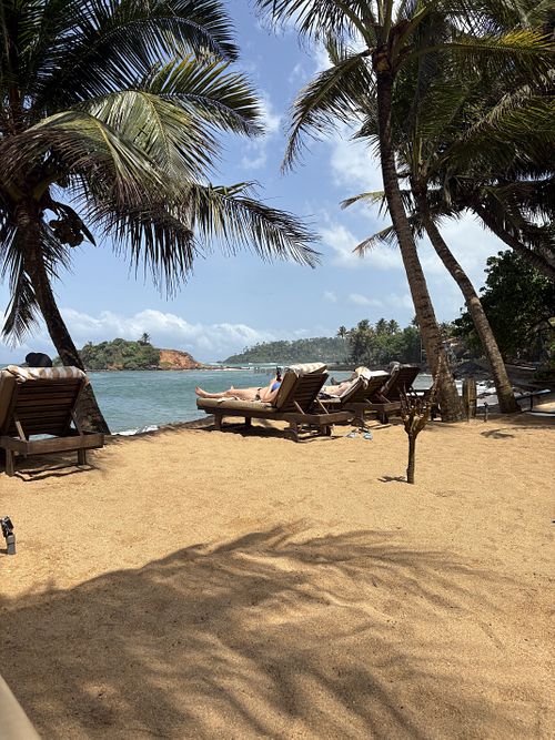 Sunbeds  at The Slow in Mirissa