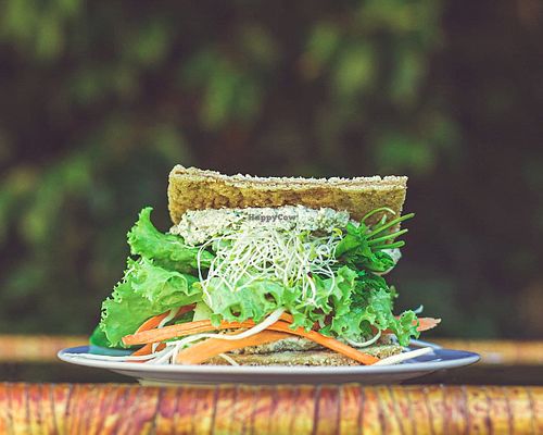 Sandwich con pan de avena fermentada, untable de girasol, verduras frescas, brotes y verdes orgánicos at Ser Vegano in Punta Del Este