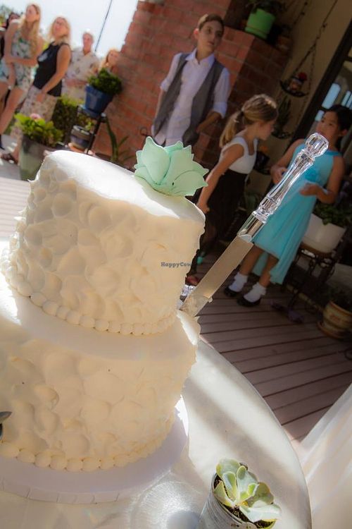 Vegan succulent wedding cake! Top layer was carrot cake with cream cheese filling and bottom layer was vanilla cake with strawberry filling. Icing was vanilla! at Sensitive Sweets in Fountain Valley