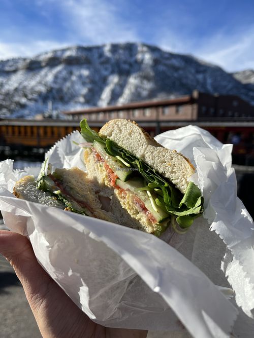 Garlic bagel with hummus and veggies! at Durango Bagel in Durango