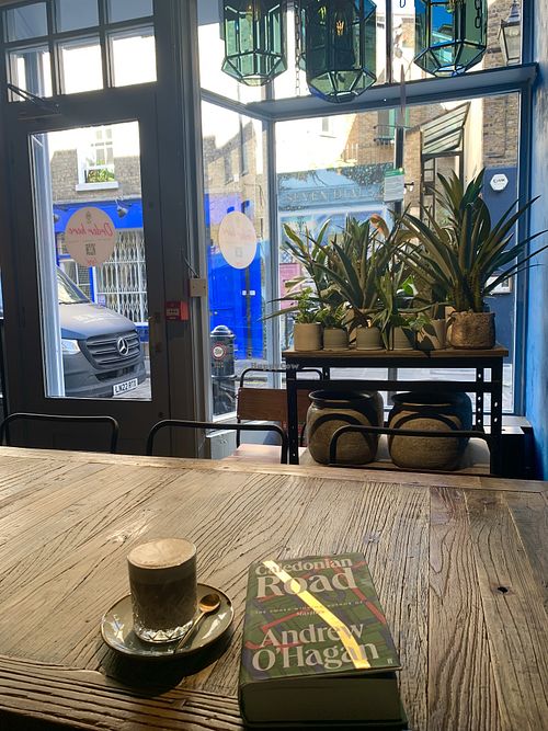 White pine  at White Pine - Seven Dials in London