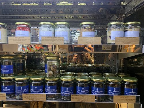 Overnight oats   at White Pine - Seven Dials in London