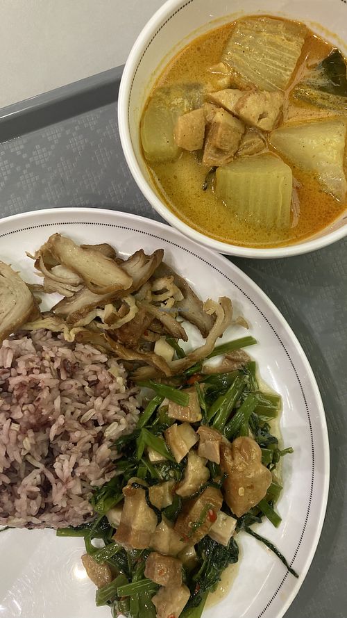 Curry with soy meat and fried veggies with rice- 3 dishes with rice for 80baht  at Talalaks  in Bangkok