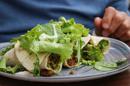 falafel wrap at VegANGELov  in Belgrade