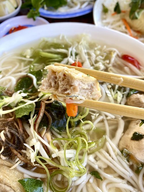 Housemade vegan duckk  at Thuong An lac in Honolulu