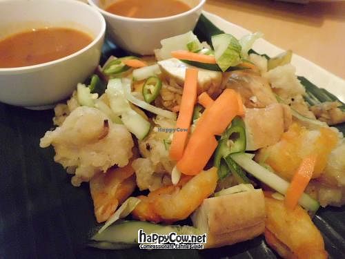 Vegetarian Indian Rojak @ S$4.5 at Gokul Vegetarian Restaurant - Fortune Centre in Central Singapore