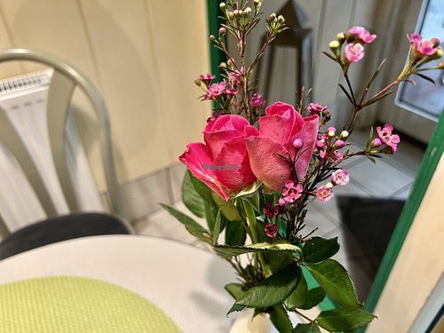 table  at Naturell in Gottingen