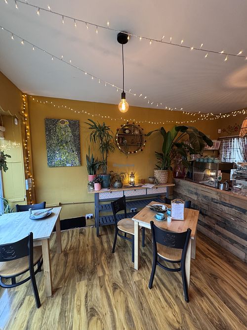 Inside   at The Magic Sunflower in Dronfield