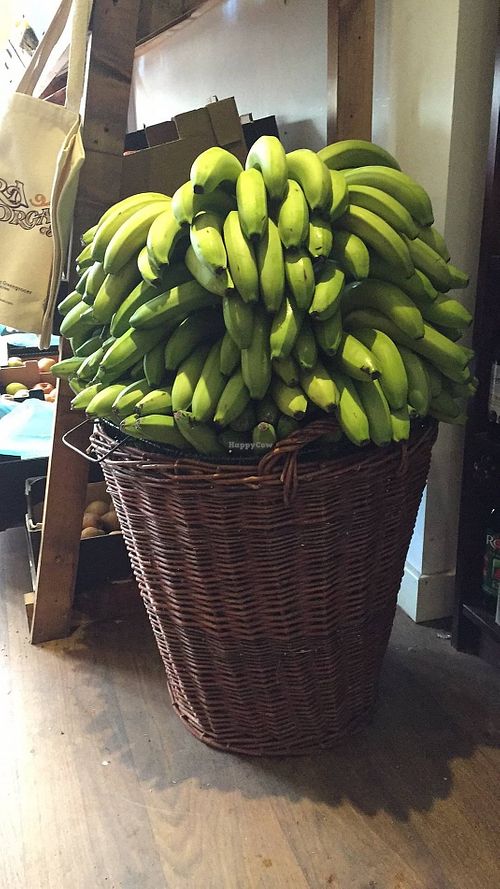 Barra Organics at Barra Organics in Sheffield