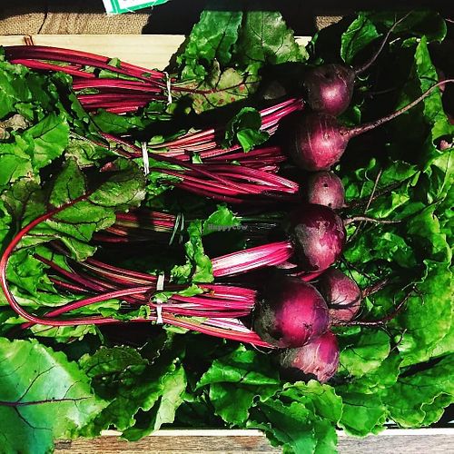 Barra Organics at Barra Organics in Sheffield