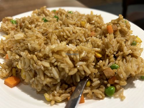 Special fried rice  at Vegan Planet in North West London