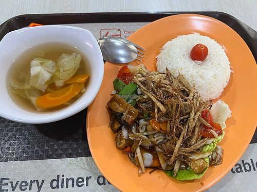 Ginger fish rice set $6.50  at Jin You Yuan 今友緣素食坊 in Central Singapore