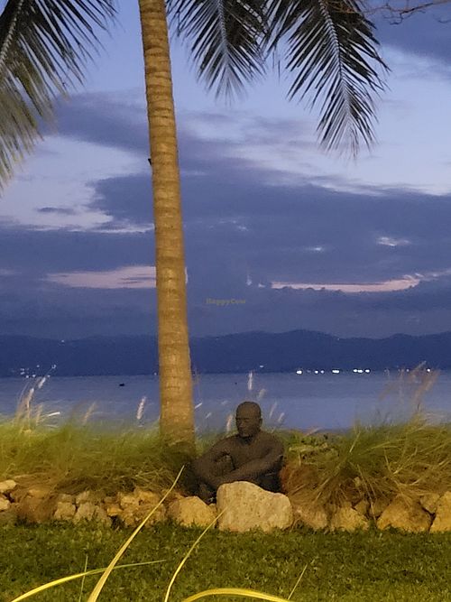 The view at sunset #Veganuary at Chardonnay in Koh Phangan