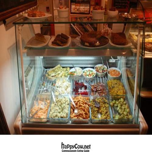 The salad counter at Green Ginger in Hull