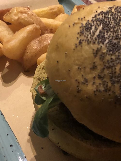 Vegan burger and homemade fries  at Birrificio Torino in Turin