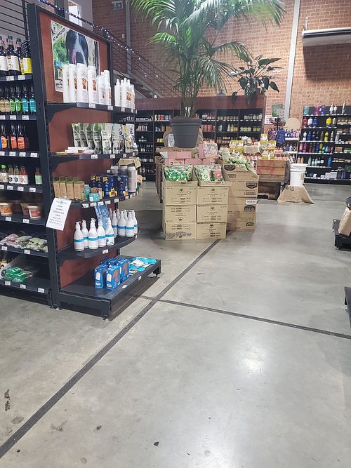 Interior  #Veganuary at Wild Culture Organics in Port Macquarie