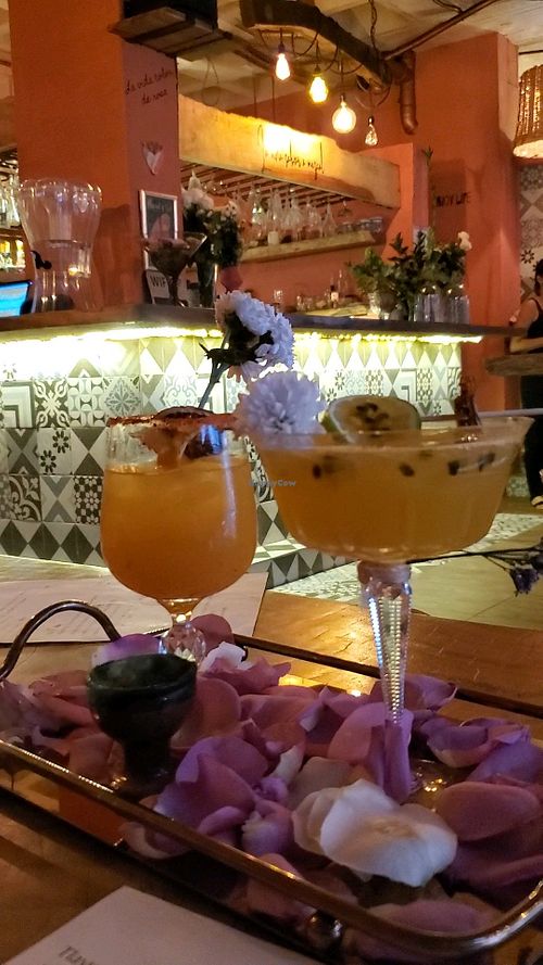  at Mezcal & Sal in Puerto Vallarta