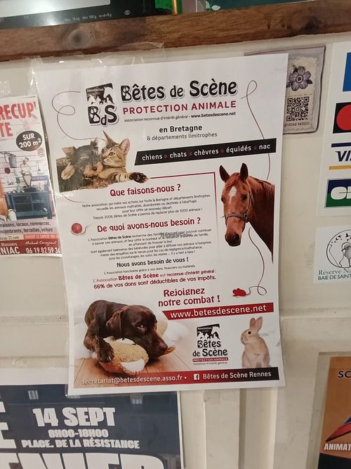  at La Végétalerie - concept store végétal in Saint-brieuc