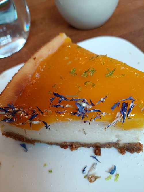  at La Végétalerie - concept store végétal in Saint-brieuc