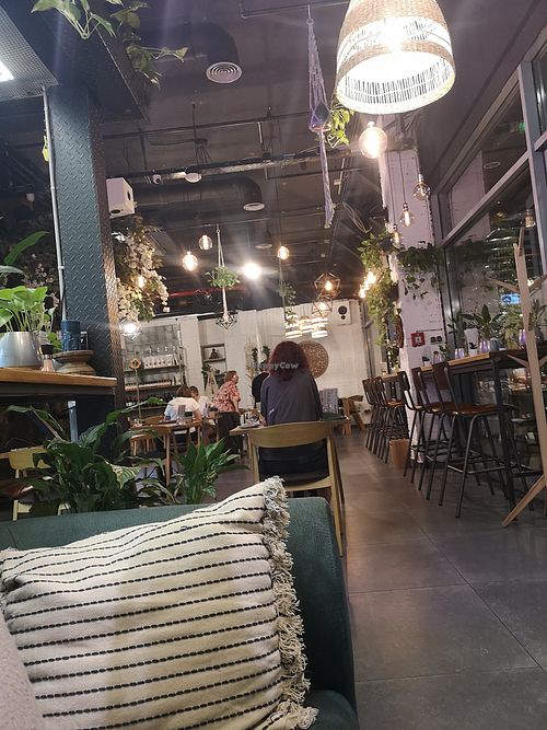  at Vegan Garden Budapest in Budapest