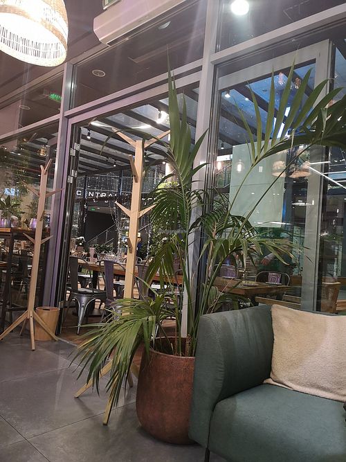  at Vegan Garden Budapest in Budapest