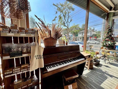 Organic supply- vibe  at Organic Supply in Bangkok