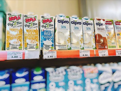 Vegan milks  at Šiki - Шики in Sipovo