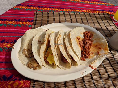 january 20th's vegan taco selection — excellent ! at 100% Vegana Taqueria in Puerto Vallarta