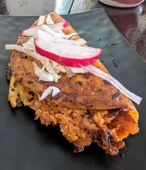 Birria dorado at 100% Vegana Taqueria in Puerto Vallarta