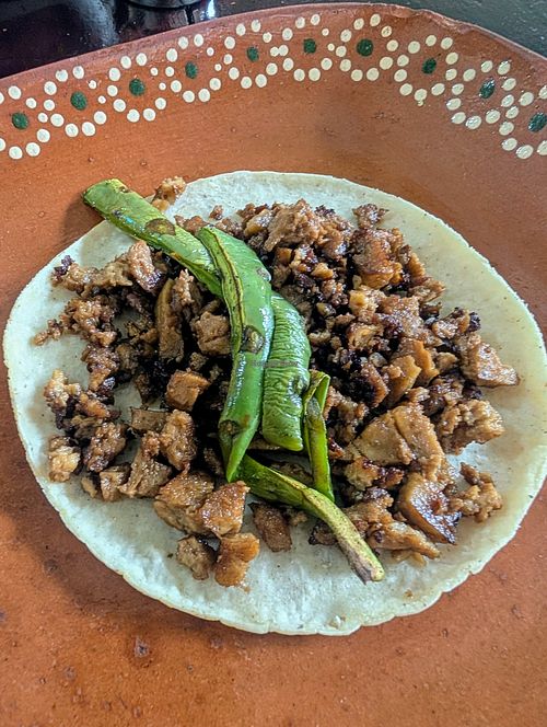 Asada at 100% Vegana Taqueria in Puerto Vallarta