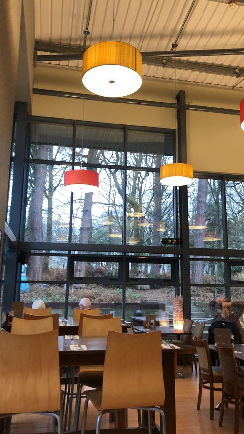Bright and airy tables well spaced and nice woodland surrounding outside with plenty of outdoor seating   at Forever Green in Mansfield