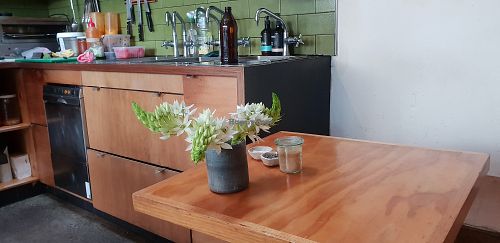 A bit like sitting in someone's Kutcher at New Day Rising in Brunswick East