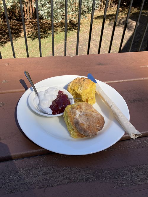 vegan scones  at Dancing Waters Cafe in Springbrook