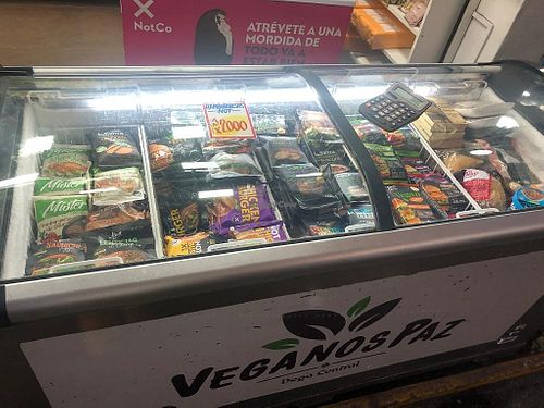 frozen goodies at Veganos Paz in Santiago