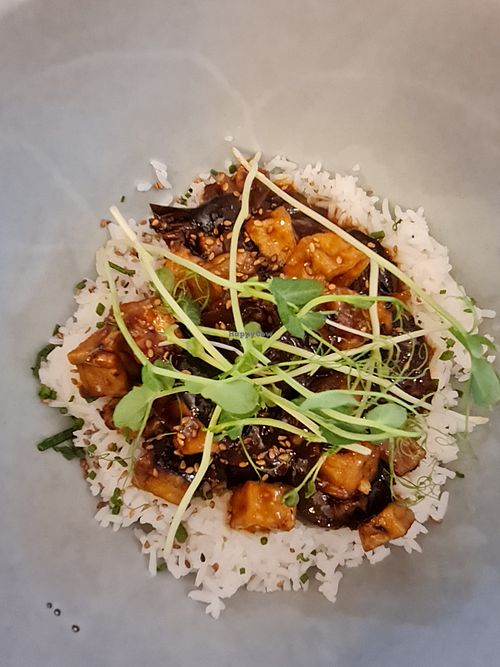 Cheza Tofu #Veganuary at Shokupan in Nairobi