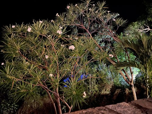Outdoor patio  at Mirador in St Thomas