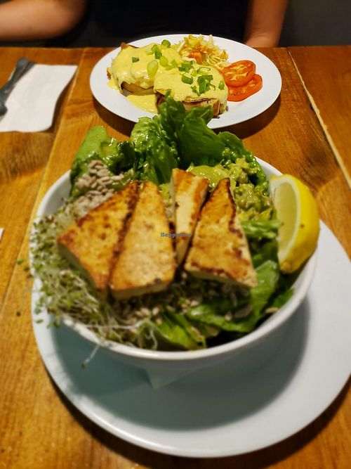 Grilled tofu salad and eggs Benny with my mom 😋 at The Hogtown Vegan in Toronto