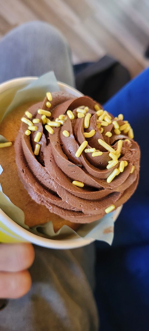 Boston cream cupcake at Beg Bakery in Scottsdale