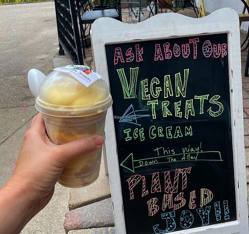 Vegan Ice Cream  at Black Barn Veganry in Yellow Springs