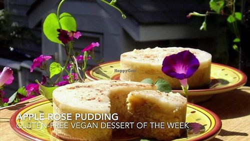 Rose Pudding at Macro-Mediterranean Delivery in Medford