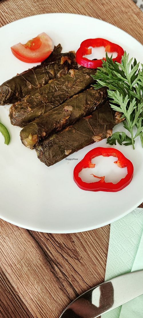 Dolma at Dilmon La Table d'Orient in Evere