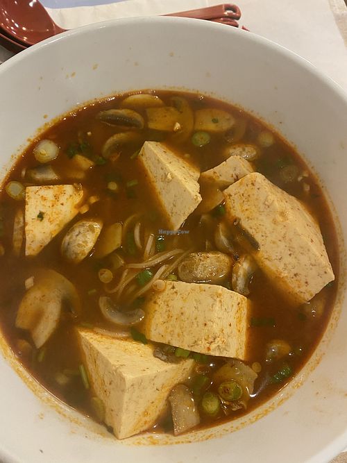 Tom Yum Hot & Spicy Soup with Tofu at The Theo Thai Bistro in Bethpage