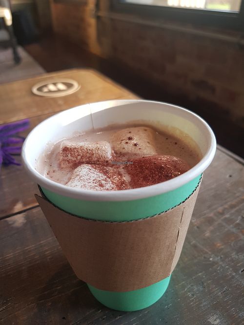 Hot chocolate with marshmallows (vg) at Chin Up Coffee in Newcastle Upon Tyne