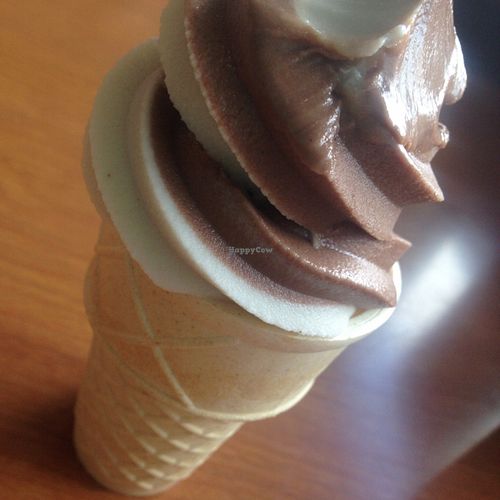 cashew soft serve! at Cornbread Cafe in Eugene