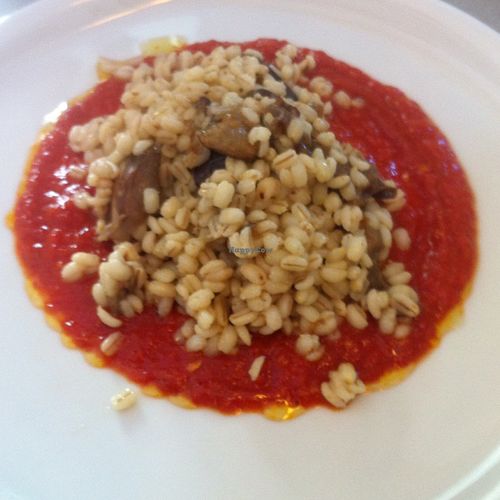 barley and vegetables in a tomato sauce  at 5 e Cinque in Florence