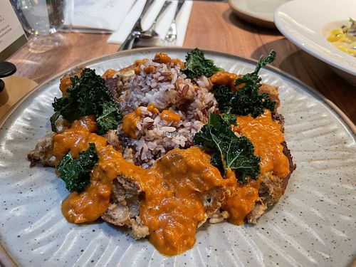 Butter Jack’s Chick (vegan) - jackfruit, tofu, cashew sauce and mixed rice. Yum. at Orka in Hong Kong Island